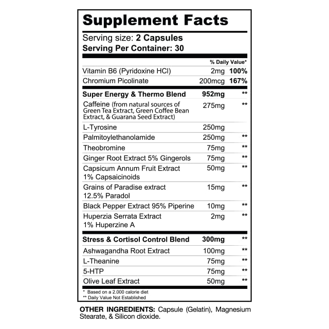 Gaspari Nutrition DTN8 Brûleur de Graisse 60 Capsules arrière