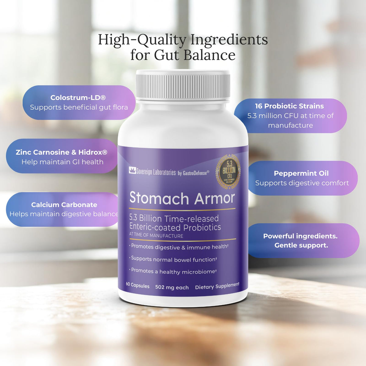GastroDefense Stomach Armor complément alimentaire en vue de dessus