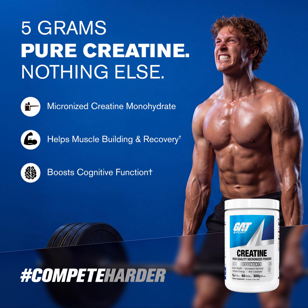 GAT SPORT Créatine Monohydrate 381g avec mesure incluse
