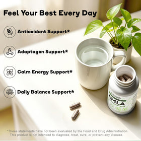 GAVYNETH Capsules Amla Superfruit avec ingrédients naturels