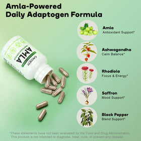 GAVYNETH Capsules Amla Superfruit vue de haut