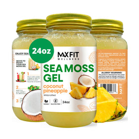 Gel d'Algue Marine Dorée MAX FIT 24oz en pot en verre