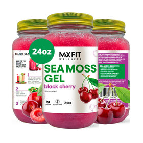 Gel d'Algues Maritimes MAX FIT 24oz en pot en verre