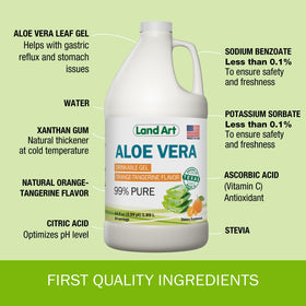 Gel d'Aloe Vera avec fruits frais