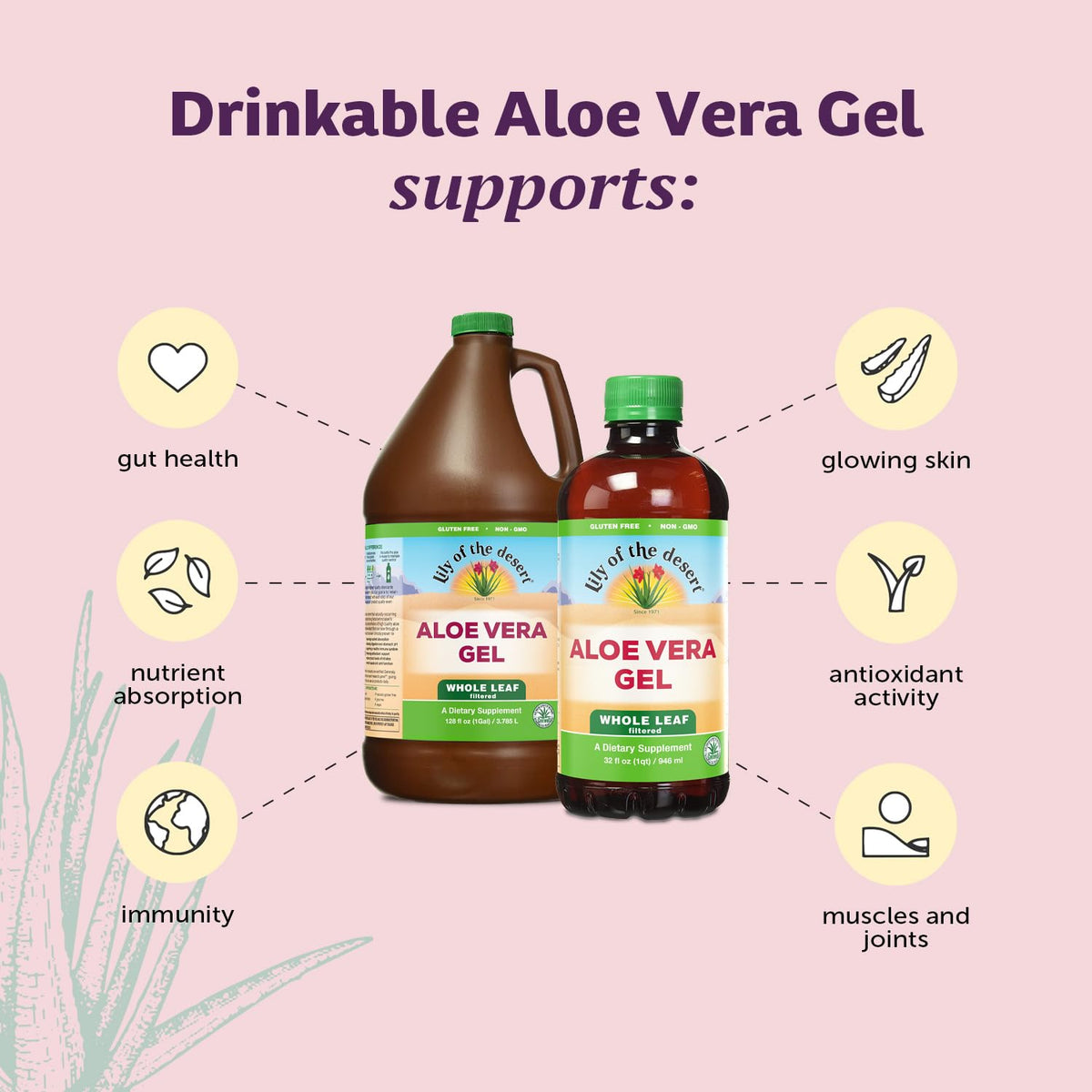 Gel d'aloe vera Lily Of The Desert versé dans un verre