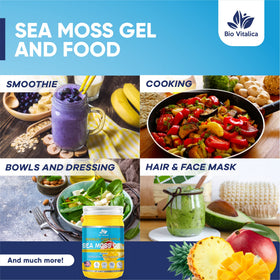 Gel d'Irish Sea Moss BIO VITALICA 12oz en utilisation dans un smoothie
