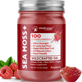 Gel d'Irish Sea Moss WELLNESS LABSRX 10 oz saveur framboise vue de face