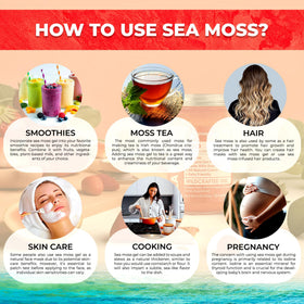 Gel de mousse de mer irlandais WELLNESS LABSRX avec des ingrédients naturels