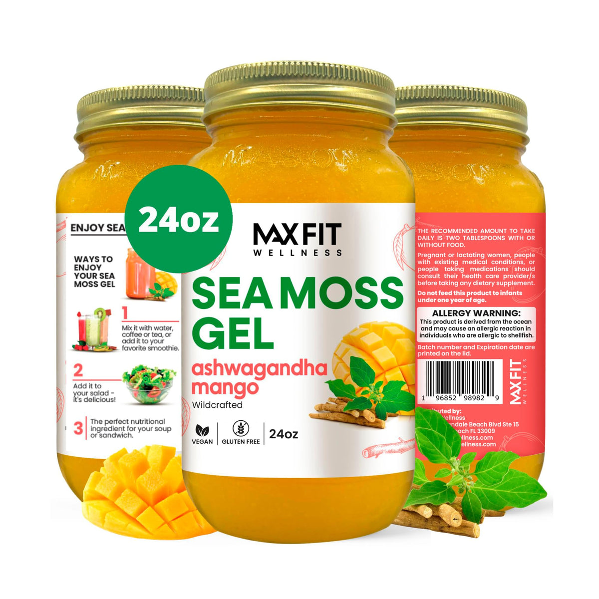 Gel de mousse de mer MAX FIT de 24 oz en pot en verre