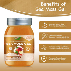 Gel de mousse de mer QANLOI 18,5 OZ avec étiquette et ingrédients
