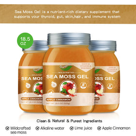 Gel de mousse de mer QANLOI 18,5 OZ sur une table avec des fruits