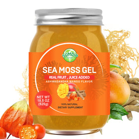 Gel de Mousse de Mer SumDIP 18,5 oz avec Ashwagandha Mangue, vue de face