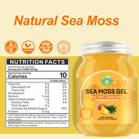 Gel de mousse de mer SumDIP 771 g avec cuillère