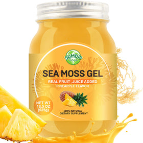 Gel de mousse de mer SumDIP 771 g vue de face