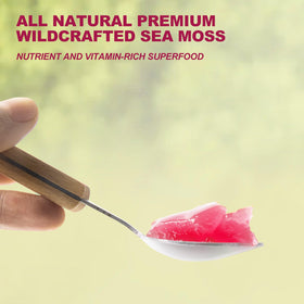 Gel de Mousse de Mer SumDIP dans un bol avec fruits