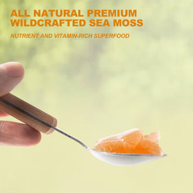 Gel de Mousse de Mer SumDIP, pot ouvert montrant la texture du gel