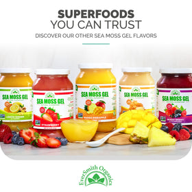Gel de mousse marine irlandais EverSmith Organics avec fruits frais