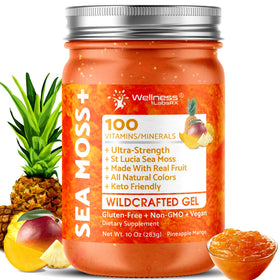 Gel de mousse marine irlandaise WELLNESS LABSRX au goût de Pomme Ananas, vue avant