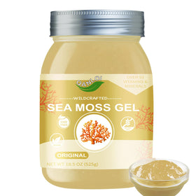 Gel de Mousse Marine QANLOI 816g vue de face dans son pot en verre