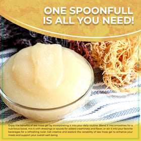 Gel de mousse marine WELLNESS LABSRX dans un verre