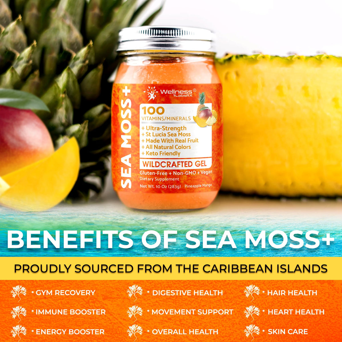 Gel de mousse marine WELLNESS LABSRX mélangé dans un smoothie
