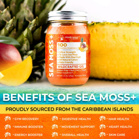 Gel de mousse marine WELLNESS LABSRX mélangé dans un smoothie