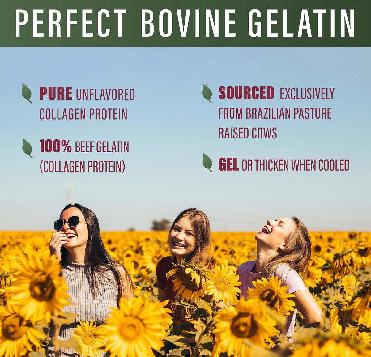 Gelée bovine Perfect Supplements 771g avec des fruits frais
