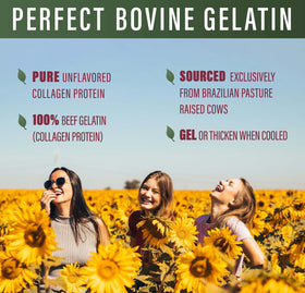 Gelée bovine Perfect Supplements 771g avec des fruits frais