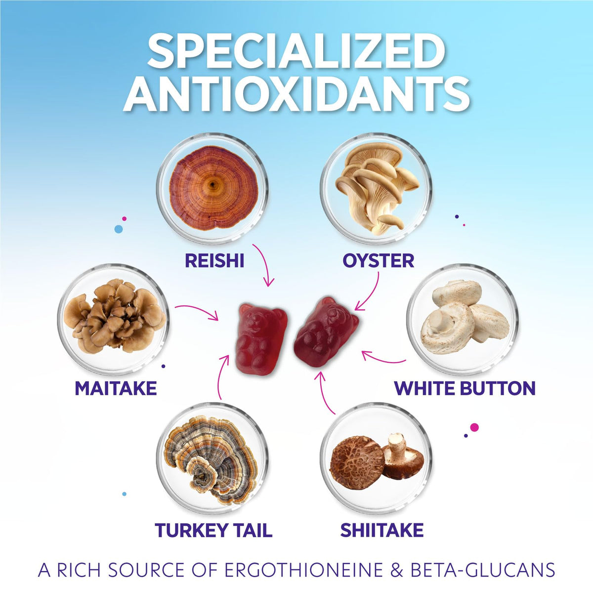 Gélifiés de champignons Nature's Nutrition 12 en 1 avec texture