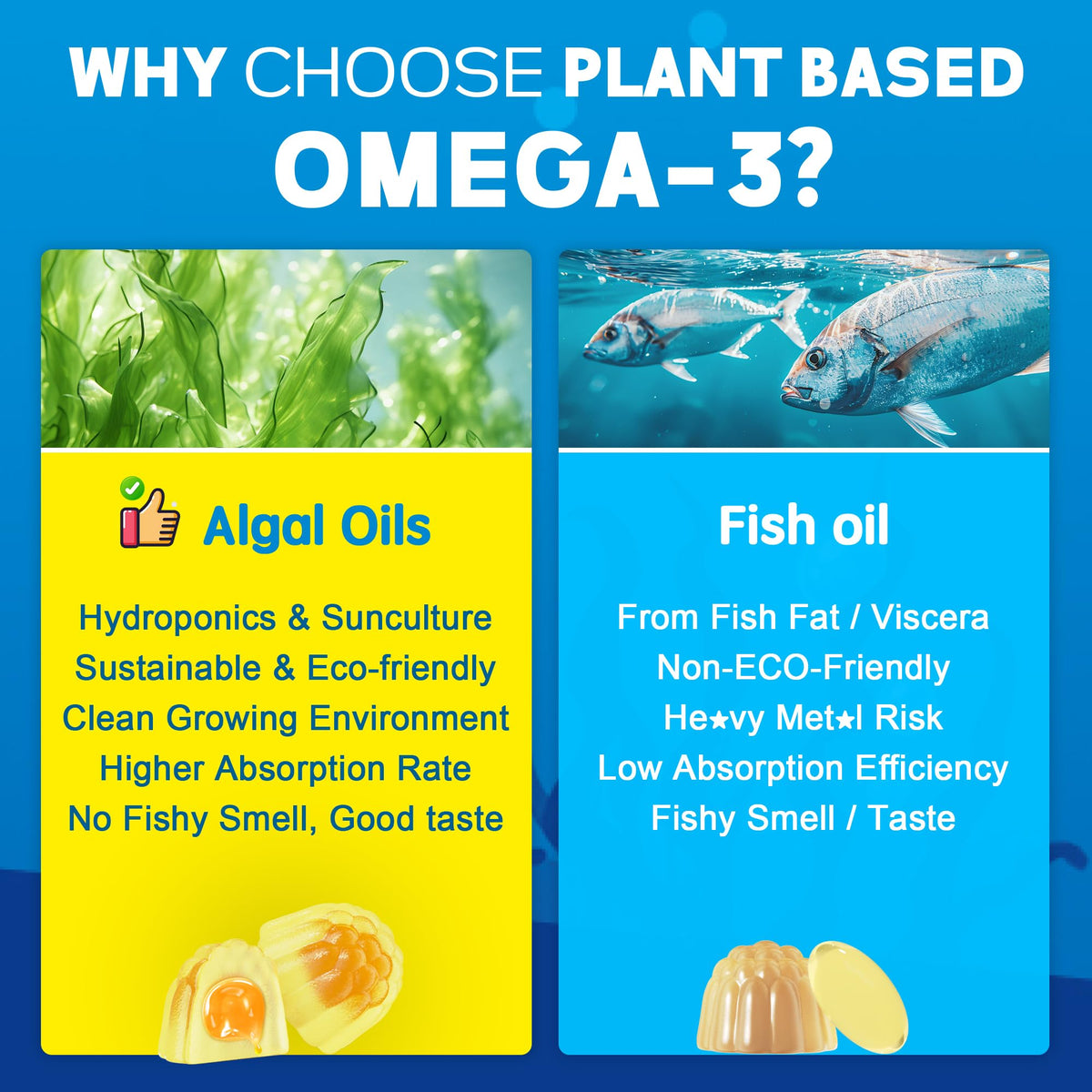 Gélifiés Omega-3 EnvyCure sur une table avec des ingrédients