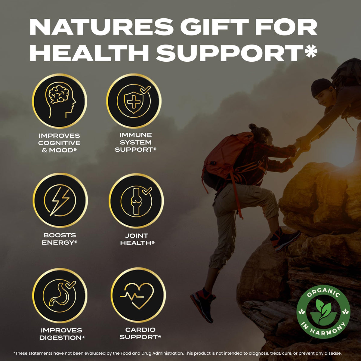 Gélifiés Shilajit Organic In Harmony, ingrédients naturels sur fond blanc