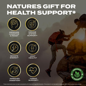 Gélifiés Shilajit Organic In Harmony, ingrédients naturels sur fond blanc