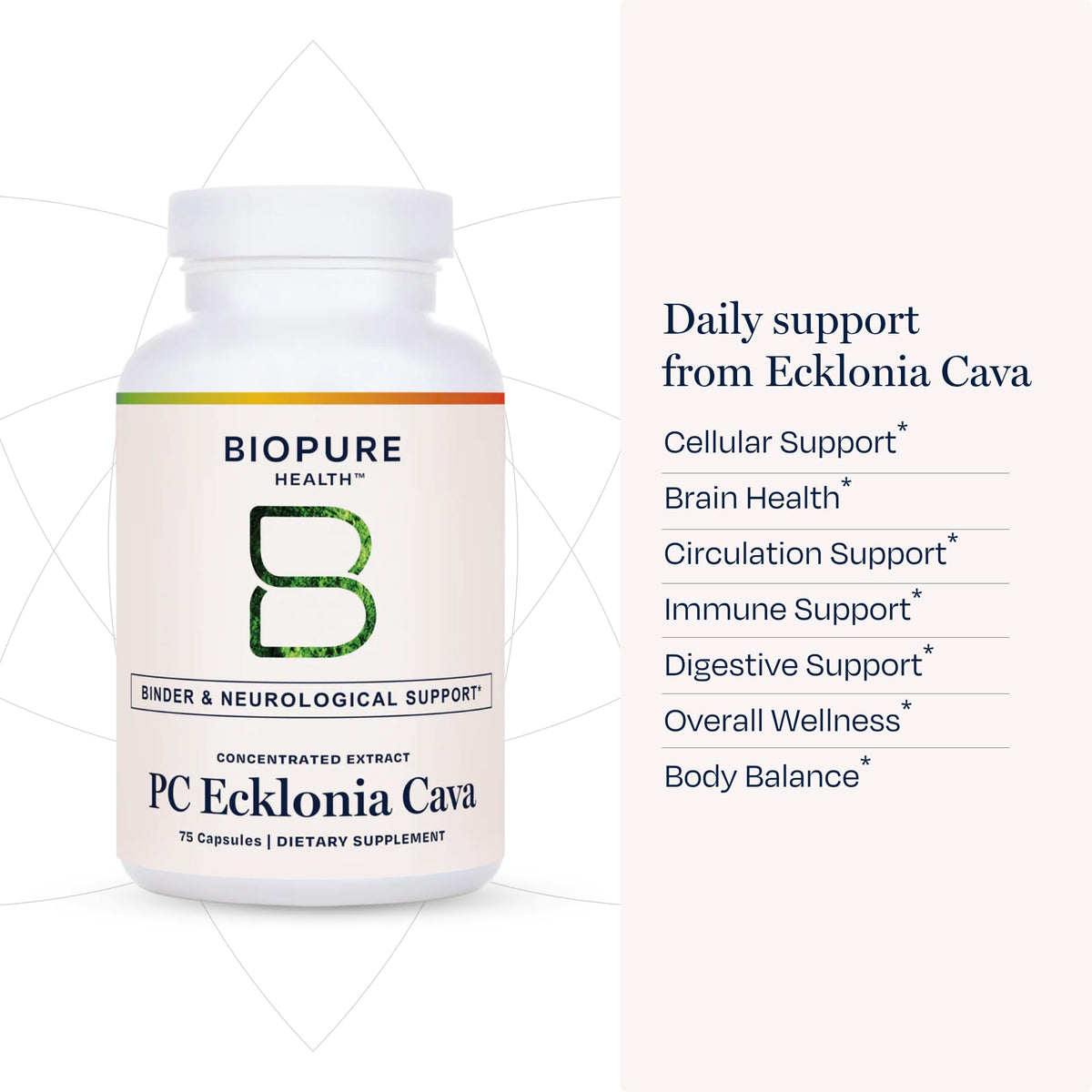 Gélule BioPure PC Ecklonia Cava ouverte avec poudre