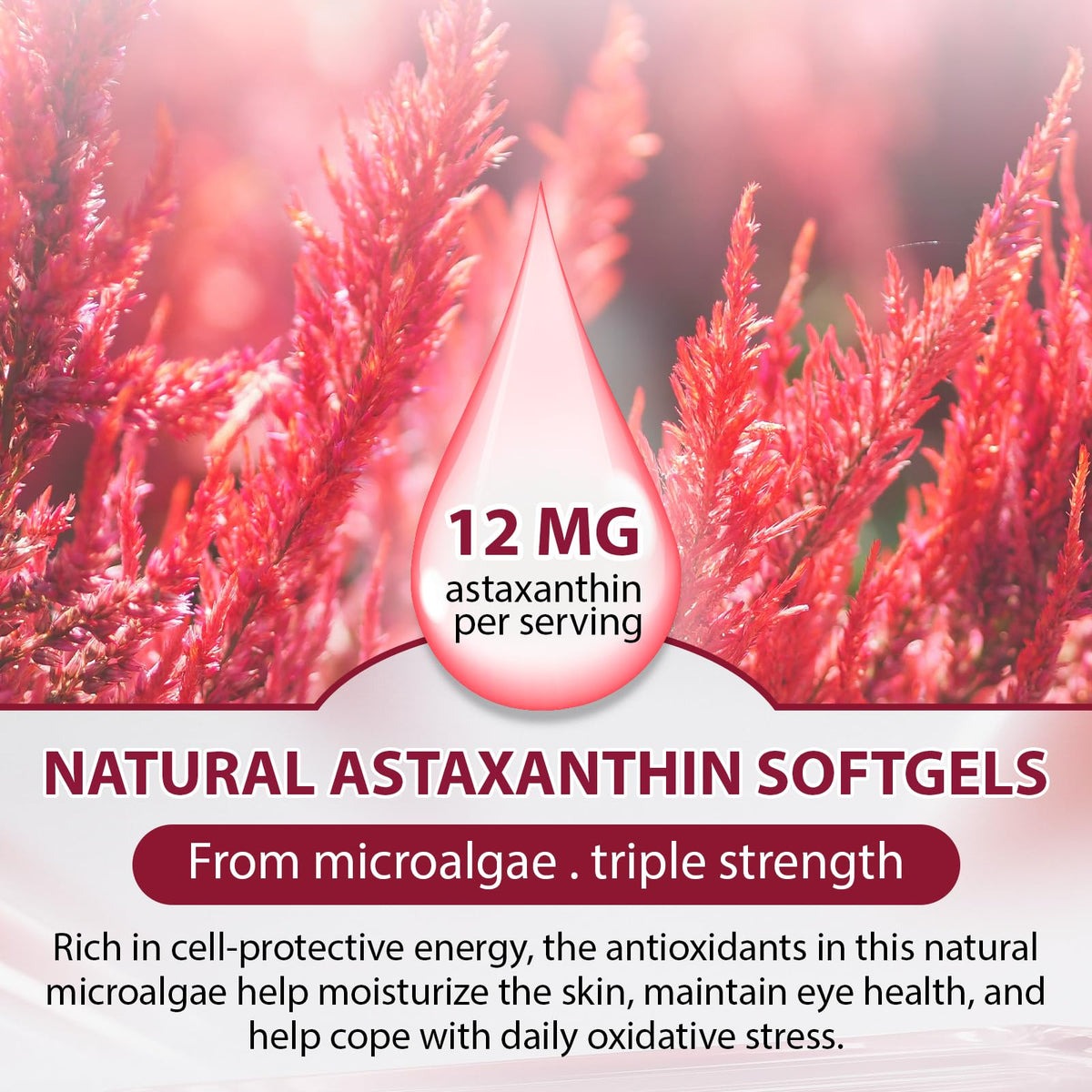 Gélule d'Astaxanthin 12mg en gros plan