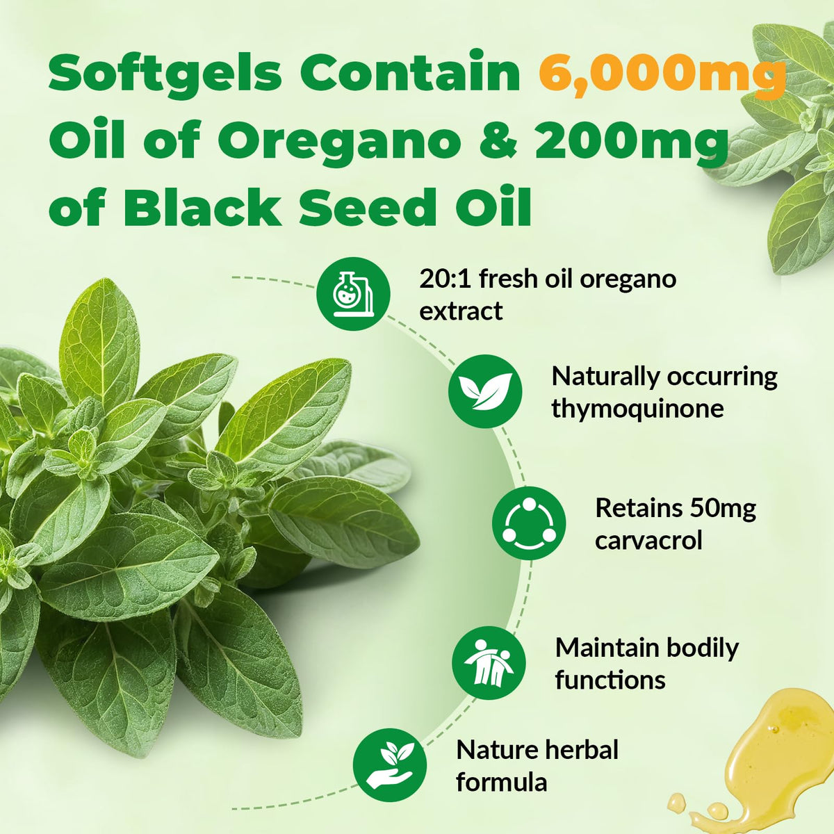 Gélule d'huile d'origan VBTOP avec huile de graines noires
