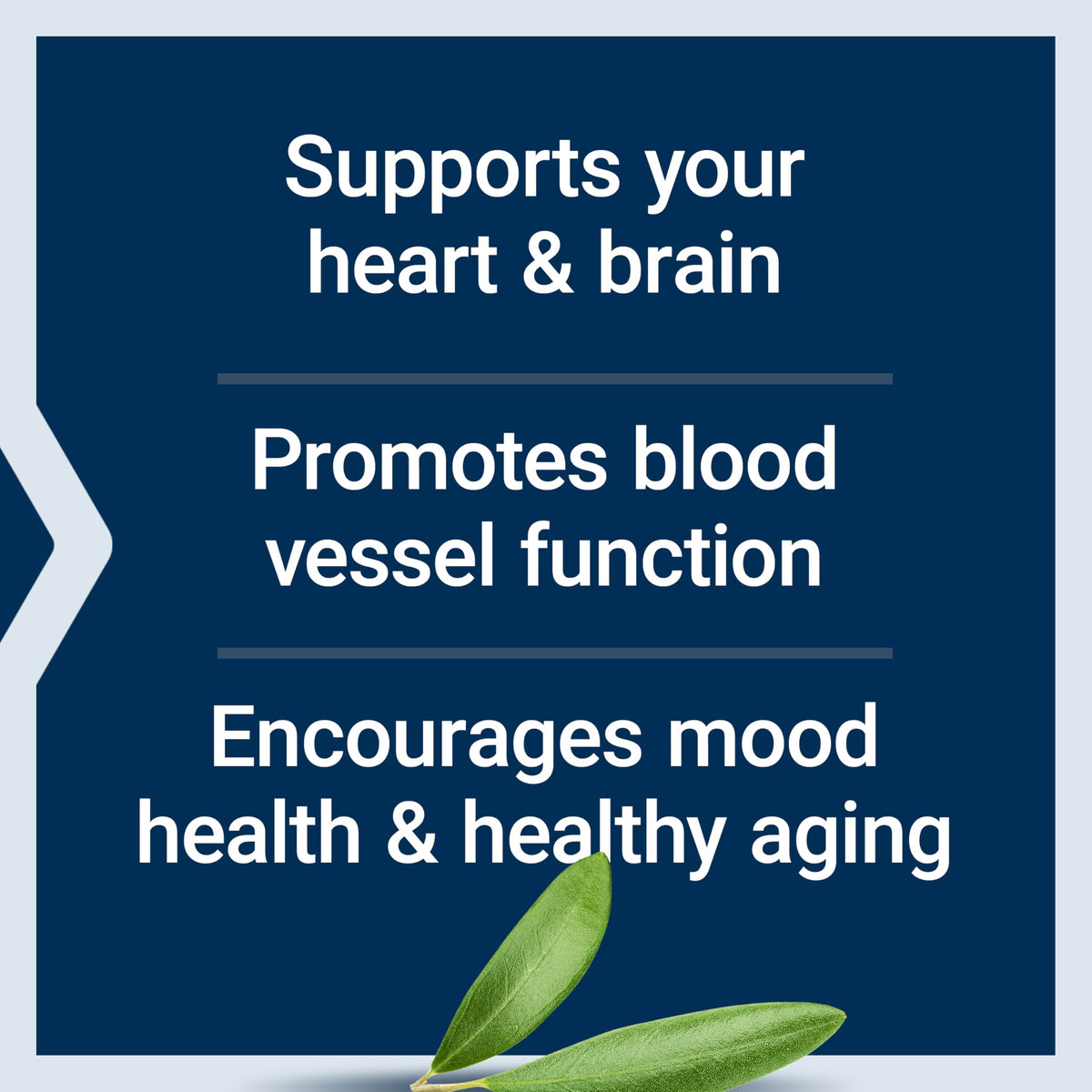 Gélule de Life Extension Super Omega-3 sur une cuillère