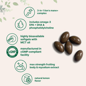 Gélule de Lion’s Mane+ avec goût citronné en gros plan