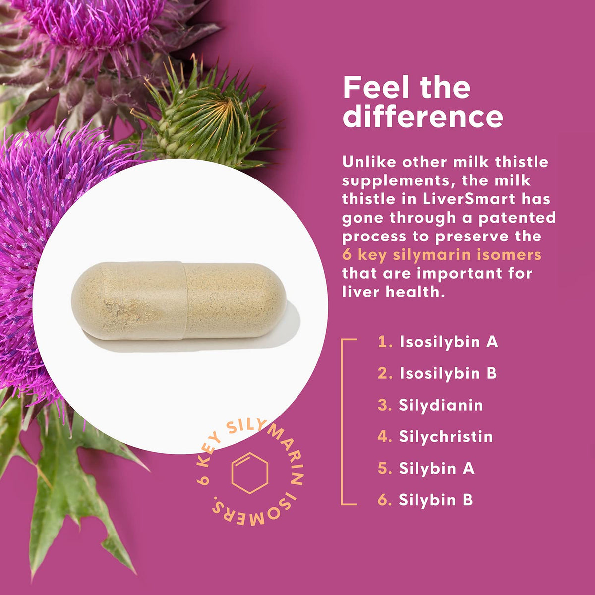 Gélule de Naturenetics au Chardon-Marie sur fond blanc