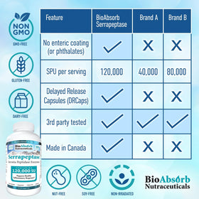 Gélule de Serrapeptase Bio Absorb montrant sa taille