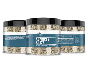 Gélules Agaricus Blazei sur fond blanc