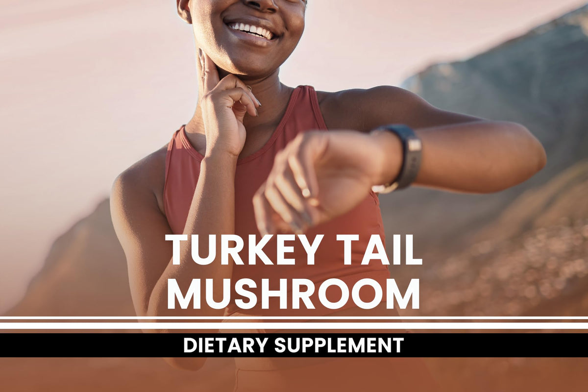 Gélules champignon Turkey Tail, détail de la capsule