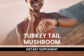 Gélules champignon Turkey Tail, détail de la capsule