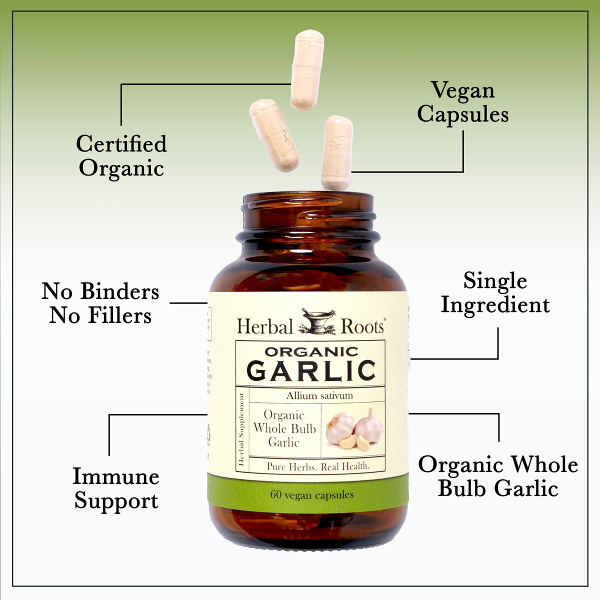 Gélules d'ail entier bio Herbal Roots, prise en main