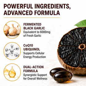 Gélules d'ail noir fermenté EverWell Health ouvertes pour montrer leur taille