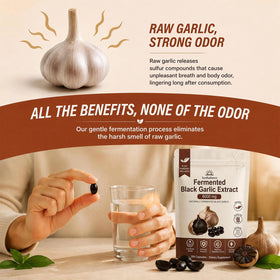 Gélules d'extrait d'ail noir Sun Radiance sur une surface blanche