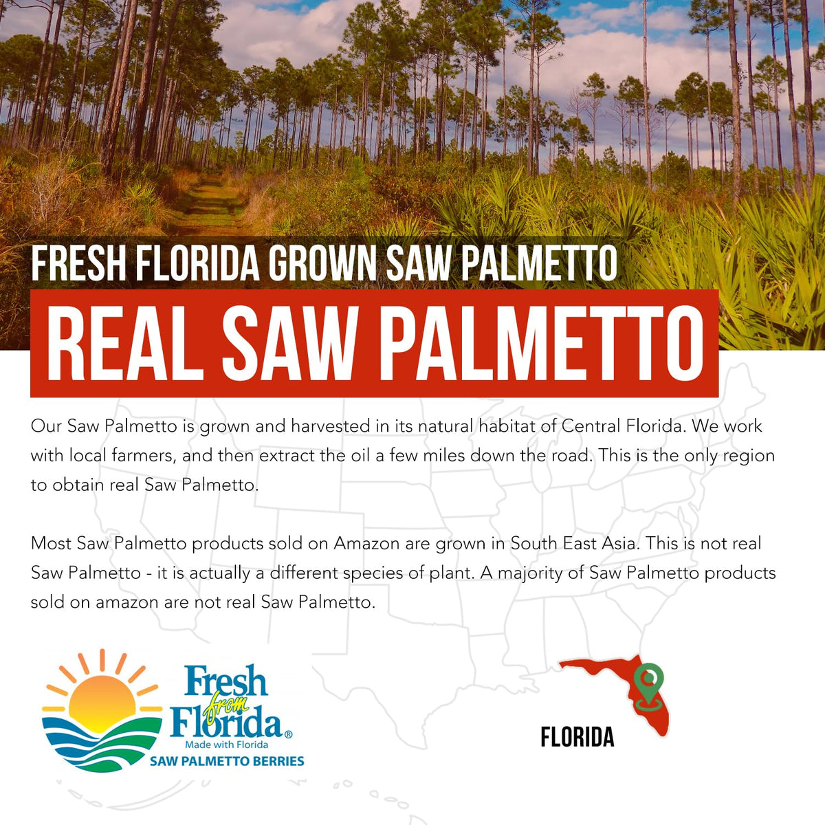 Gélules d'extrait de Saw Palmetto Triquetra Health sur fond blanc