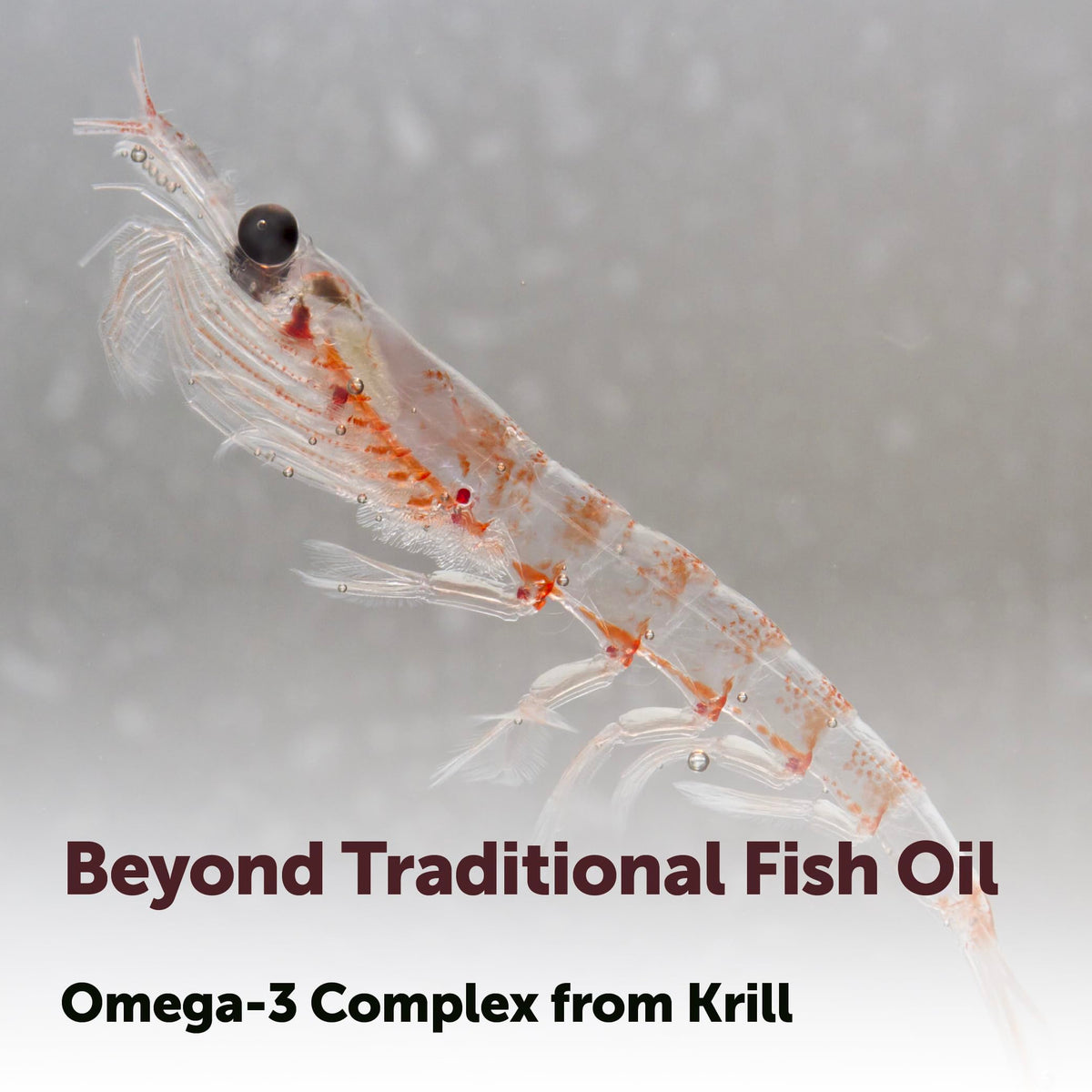Gélules d'huile de krill Micro Ingredients sur une surface blanche