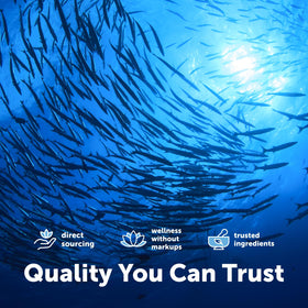 Gélules d'huile de poisson Omega-3 Micro Ingredients dans une main