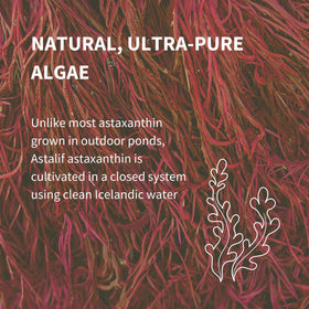 Gélules d'Igennus Astaxanthin sur fond blanc