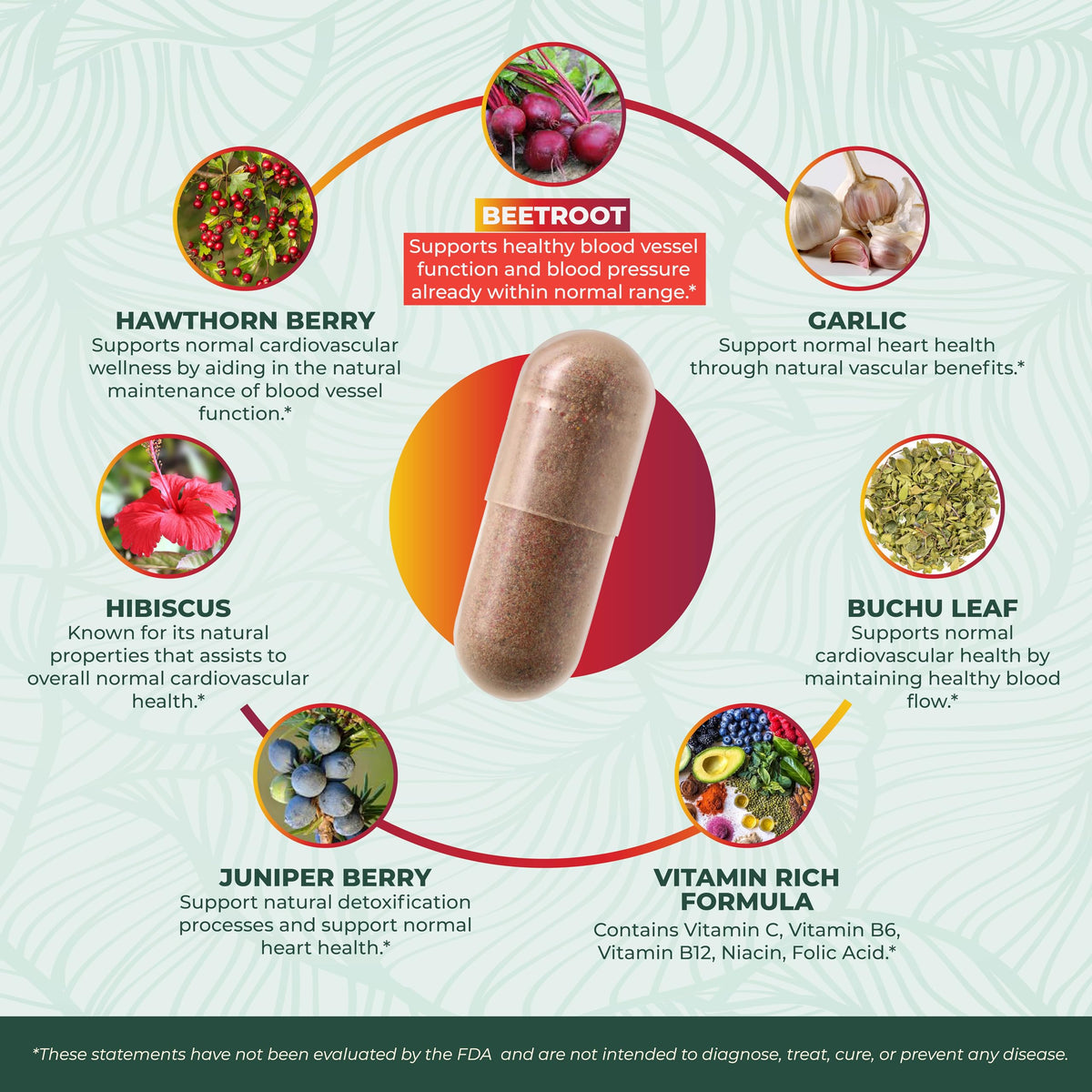 Gélules de betterave PurePremium avec ingrédients naturels